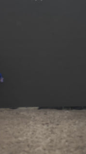 FMG X ADISAMBA BIKINI SET