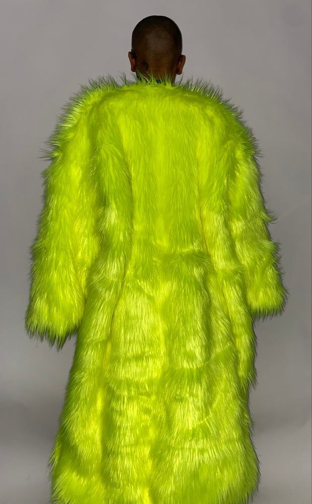 CALIFORNIA RAISINS FUR SET