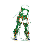 PATRICK EWING CHAPSET